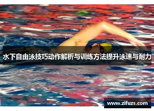 水下自由泳技巧动作解析与训练方法提升泳速与耐力