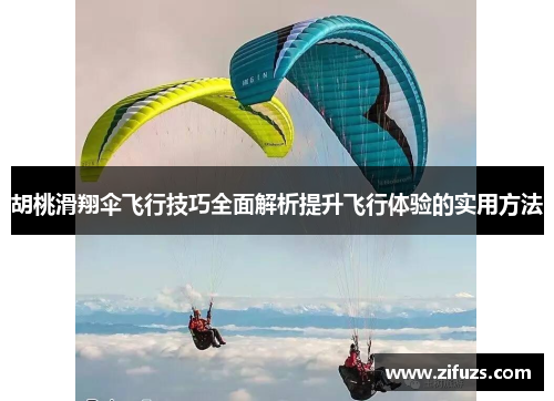 胡桃滑翔伞飞行技巧全面解析提升飞行体验的实用方法